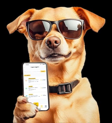 Caramelo® - Cachorro com o celular